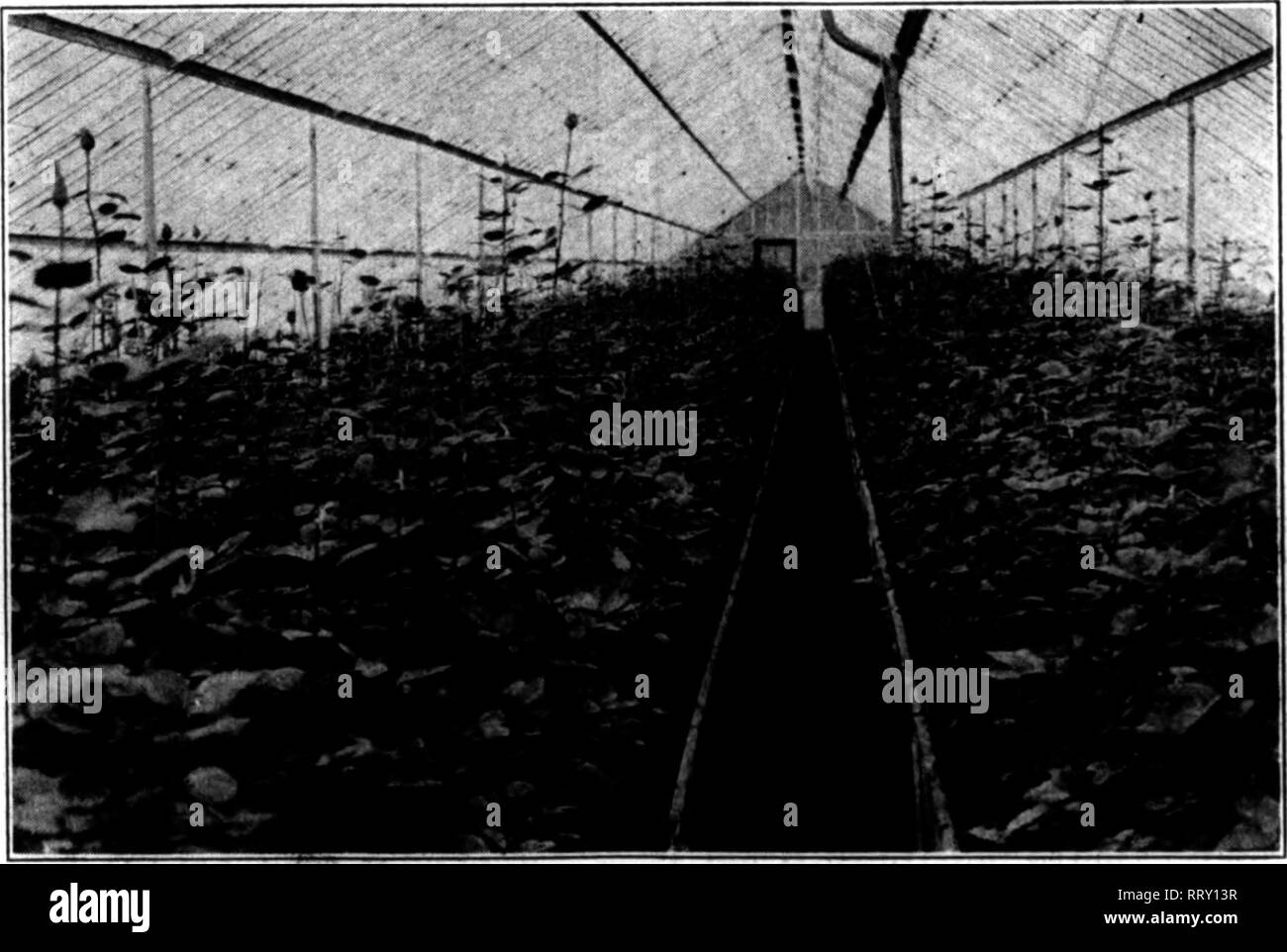 Goodsell Black and White Stock Photos & Images Alamy