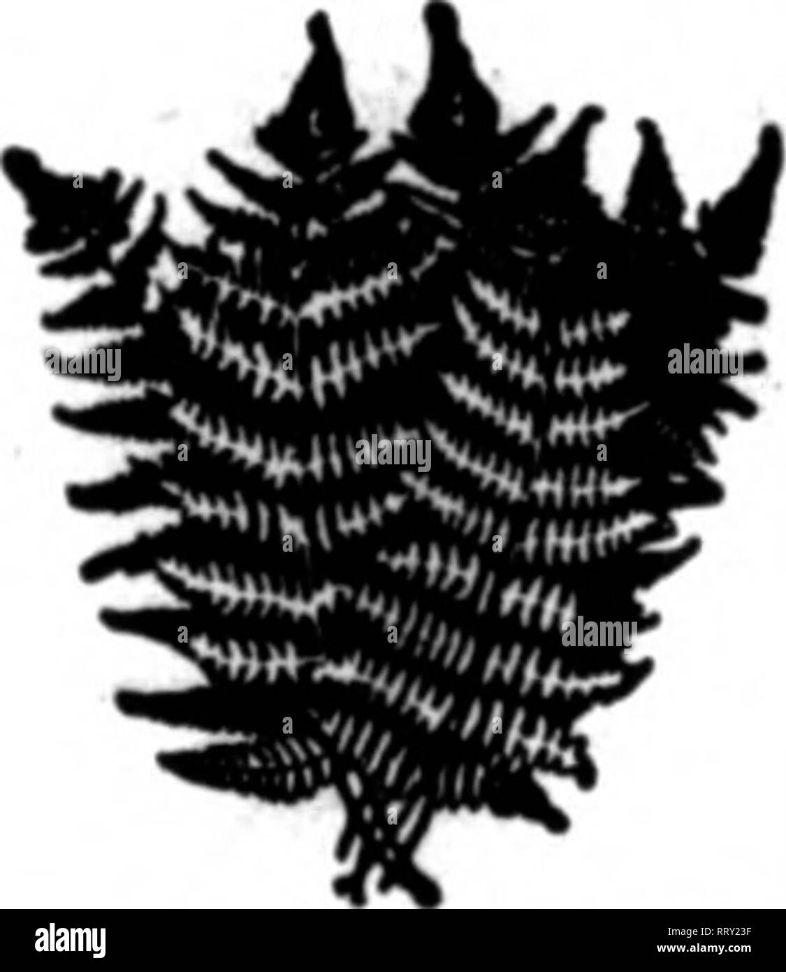 Friedl Stock Photos Friedl Stock Images Page 3 Alamy