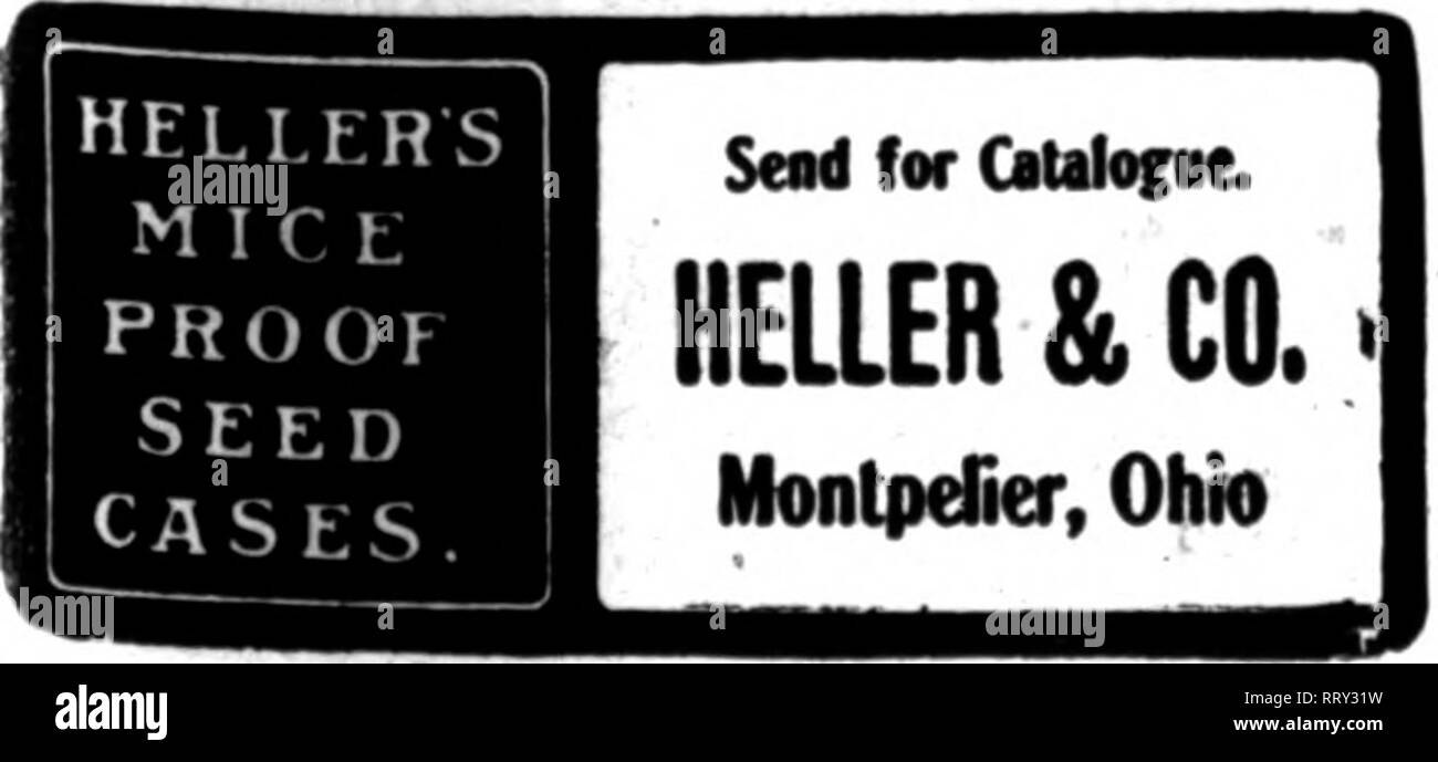 . Florists' review [microform]. Floriculture. SEED PACKETS WRITE FOR SAMPLES AND PRICES. THE BROWN BAG FILLING MACHINE CO., f itdiburg, Mass. Mention The Review when you write Gnnring ONION, LEHUCE, CARROT and RADISH San Jose, CaGfornia ASPARAGUS PLUNOSUS NANUS Naw Crop Now Roady.l Per 1000 seeds, $1.50. 5000 and up @ |1.25 per 1000. Bulb Catalogve N«w Ready. Send fw a Capr It contains prices on Perennial flower seeds, botii hardy and greenhouse, for present sowing, as well as attrictive quotations on French and Holland bulbs for outdoors and for forcing:. IN.Thorburn&amp;Co/'NSl'^'.'K' Mentio Stock Photo