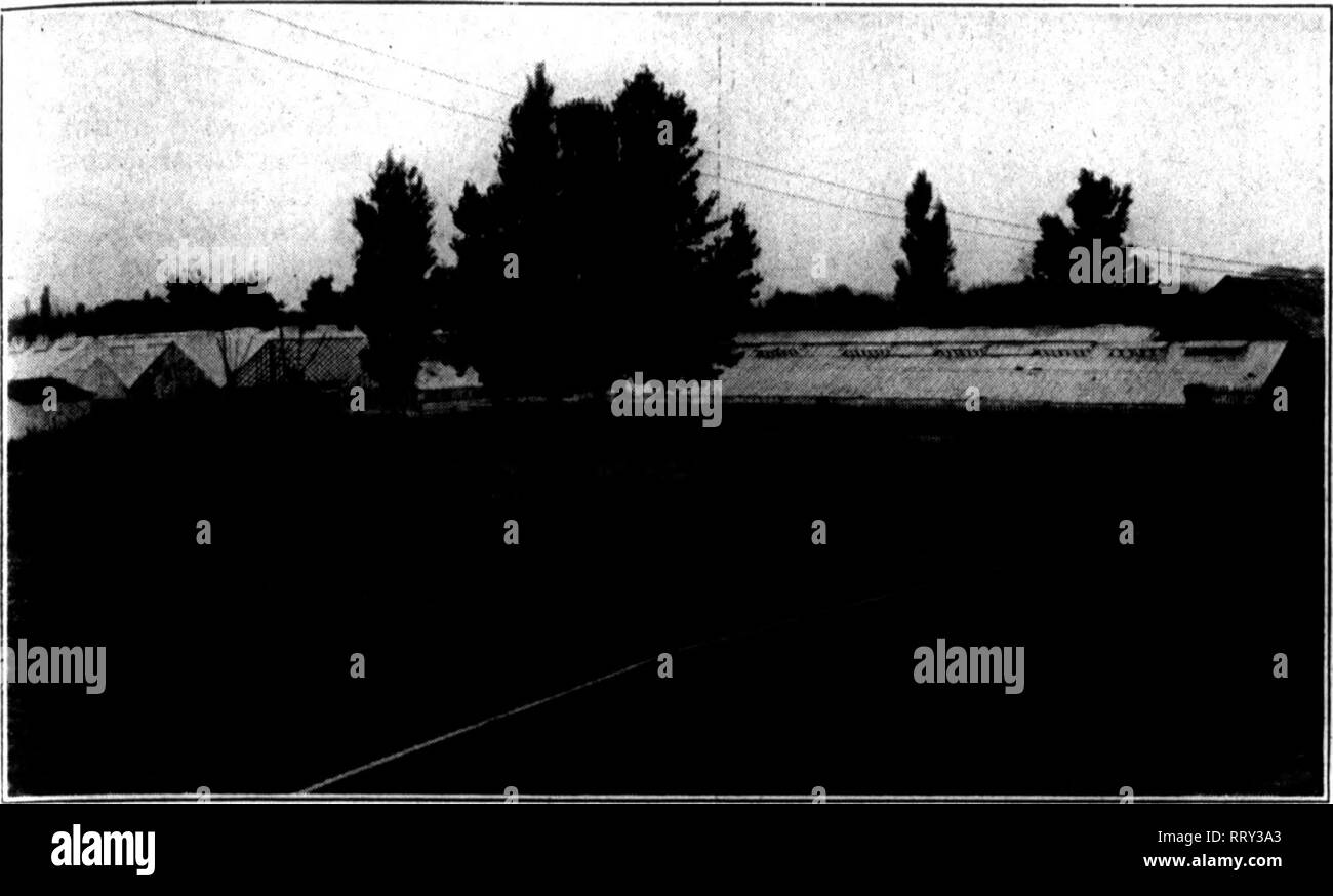 Bookleafnumber421 High Resolution Stock Photography And Images Alamy