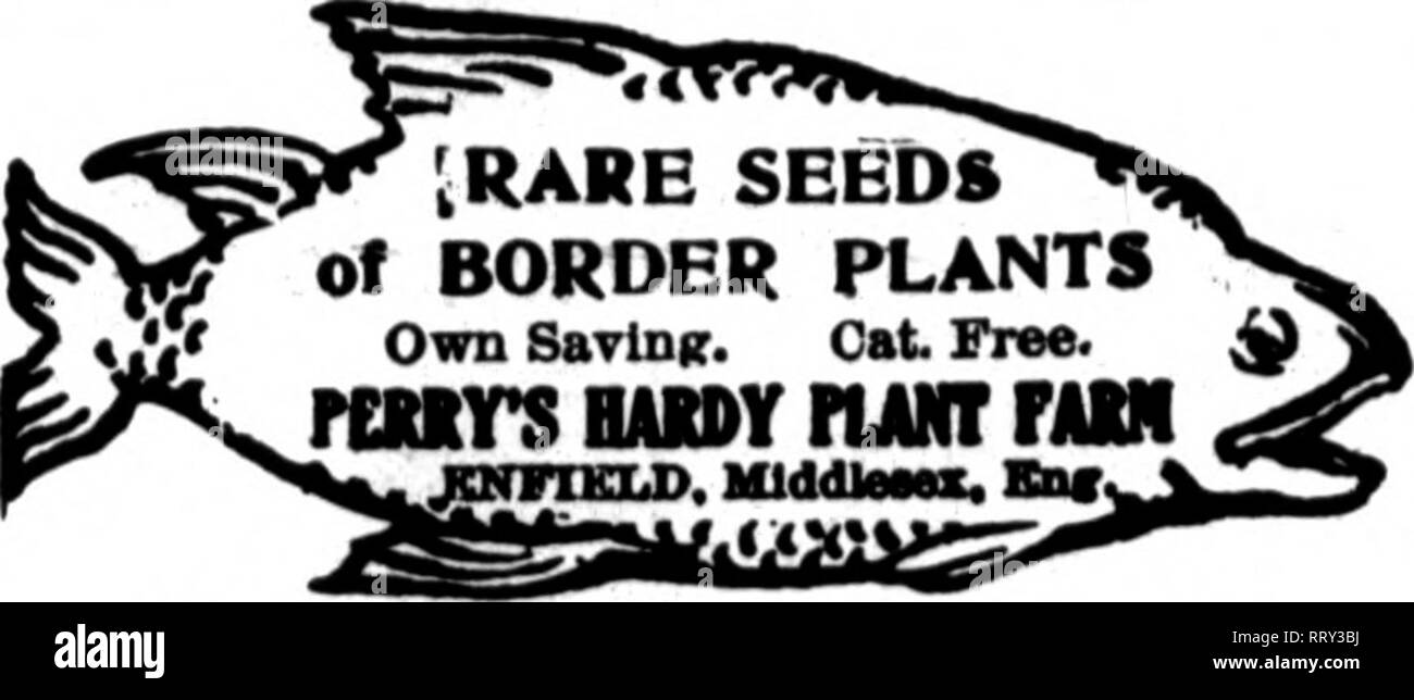 . Florists' review [microform]. Floriculture. 50 The Weekly Florists' Review* April 25, 1912. FOR s E E D S W. ! «f all hinds apply to Mf. JOHNSON &amp; SON, Ltd. BOSTON, XNGLAND Mention The Review when you write.. Mention The Review when you write. Seed Trade News. AMXBIQAV 8ZKD TRASX ASBOCZASZOV. Prea., Leonard H. Vaaghan, Ohicairo; First Yice- Prea., M. H. Duryea, New York City: Sec'y and Treas., 0. E. Kendel. Cleveland, O. Thirtieth annual convention, Chicago, June 25 to 27. 1912. The Alfred J. Brown Seed Co., Grand Kapids, Mich., handles nursery stock as a side line and has had a good vol Stock Photo