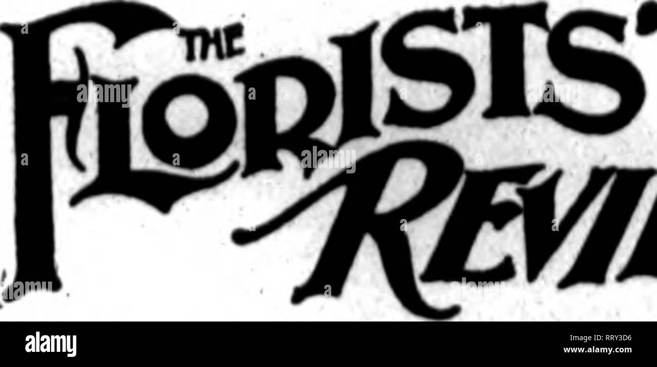 volaris bolsagage size