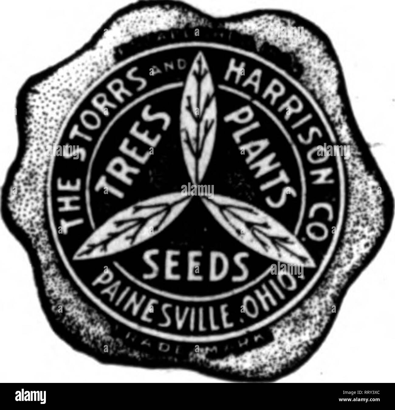 . Florists' review [microform]. Floriculture. &quot;Supeil) Quality&quot; Seeds for Florists THE STORRS &amp; HARRISON CO/S SUPERB MIXTURE OF Giant Pansy Seed is tlie very best that Pansy SpecialiatB can produce. Carefully mixed and blended. Positively no better seed can be had at any price. Trade Pkt, SOc; ^-«., $1.2S; n., $4.00 All other strains and named varietief* of Pansiea. See our &quot;Trade List&quot; for prices. 'SUPERB QUALITY,&quot; Mixed Colors, Trade packet, $1.00 CINERARIA BELLIS PERENNIS (English Daisy) Lon^ellow (red), Snowball (white), tr. pkt., 35c; Mixed Colors, tr. pkt., 2 Stock Photo