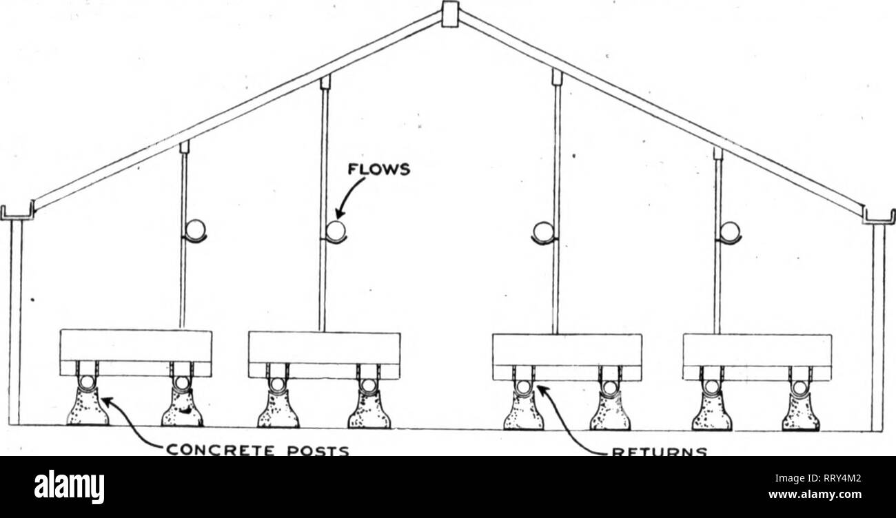 . Florists' review [microform]. Floriculture. A. Dietsch Company 2640 Sheffield Ave. CHICAGO Greenhouse Material Hotbed Sash &quot;OUR HOUSES PAY&quot; Write us for sketches and esti- mates. You can build first-class modern houses without paying an exorbitant price. Our houses soon pay for themselves. Mention The Review yiben you writ^. ?ion8. D. G. Grillbortzer, W. F. Gude ind William H. Landvoight also made speeches.' &quot; Among ihose present were: D. J. iGrillbortzer, W. F. Gude, Otto Bauer, p. H. Kramer, O. A. C. Oehmler, E. C. pVIayberry, John Gutman, John J. Bick- ^ngs, Harry Ley, Harr Stock Photo