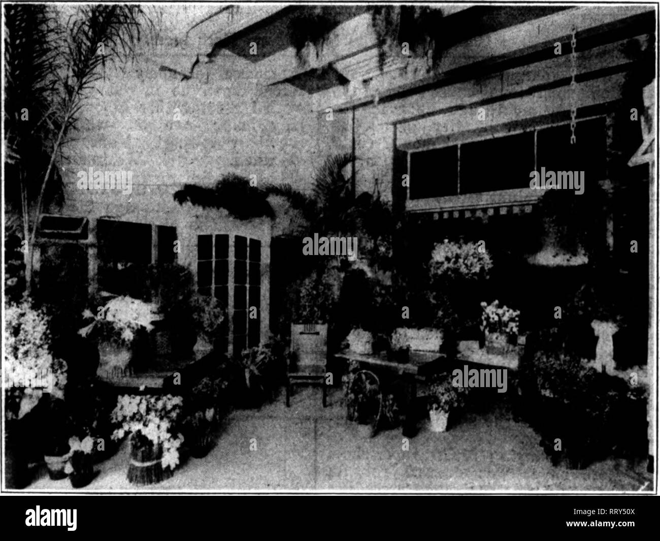 Florists' review [microform]. Floriculture. #^W^&lt;^^&lt;&lt;^&amp;lt 