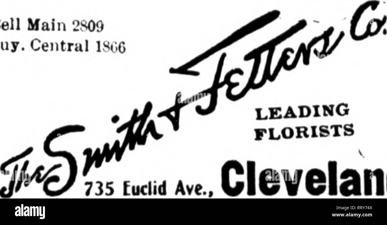 Lesbo saksittaminen ja ruiskuttaminen