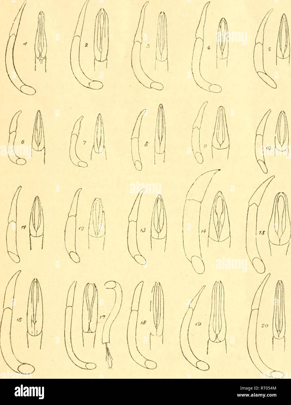 1 9 Fa High Resolution Stock Photography And Images Page 6 Alamy