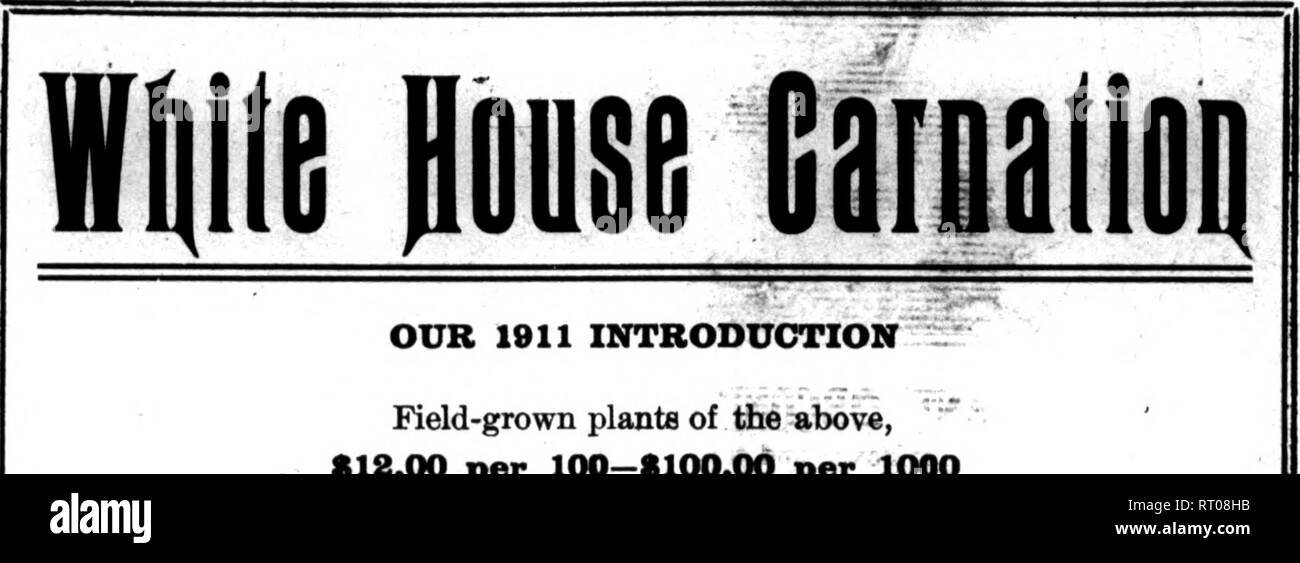 Page 2 J Balfour High Resolution Stock Photography And Images Alamy Page 2 J Balfour High Resolution Stock Photography And Images Alamy
