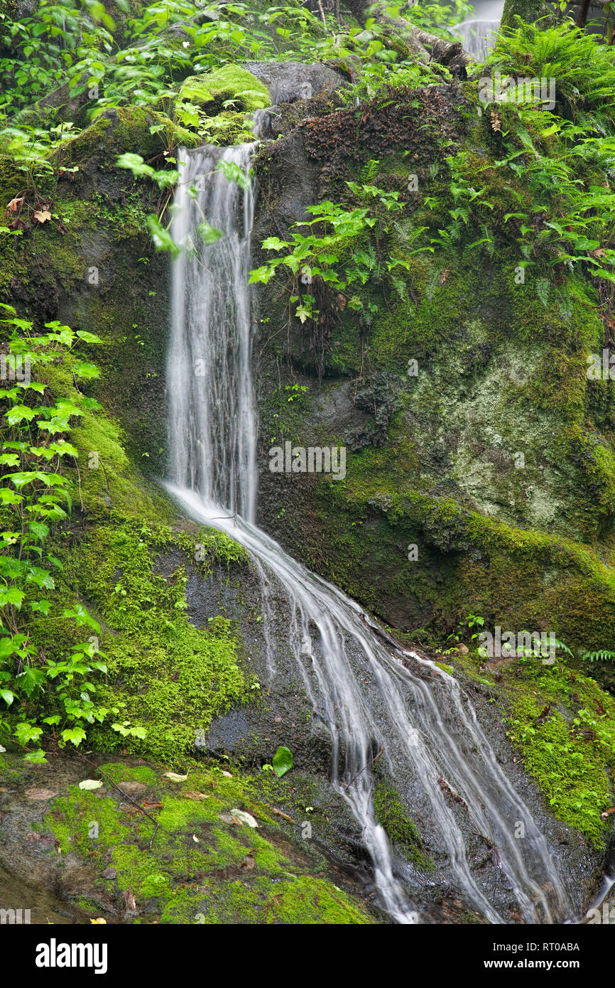 Place of a Thousand Drips along the Roaring Fork Motor Tour in the