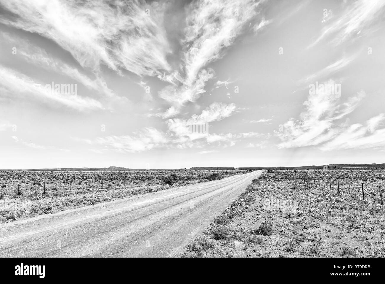 Wildflowers and road Black and White Stock Photos & Images - Alamy