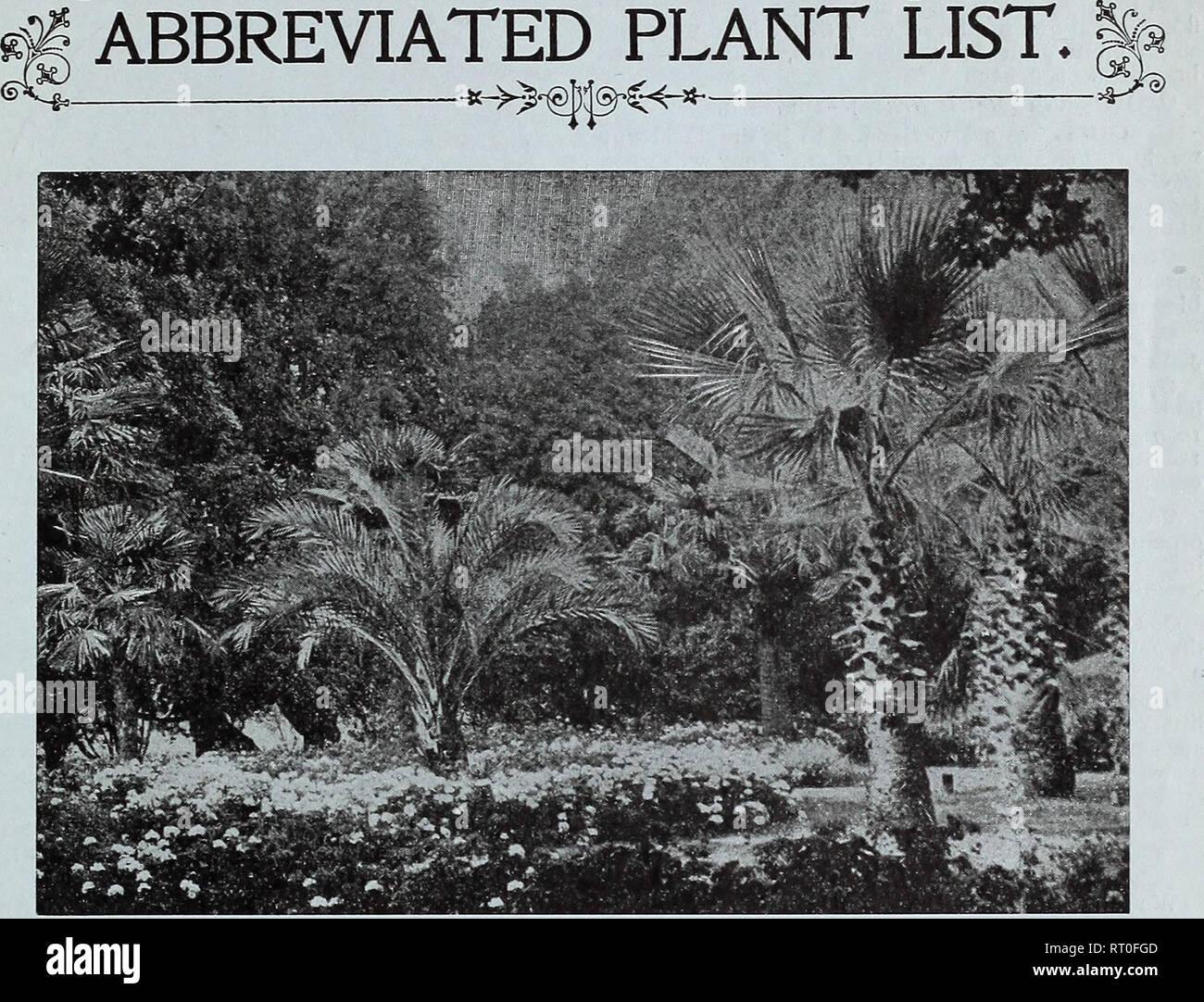 . Catalogue for autumn planting plants bulbs and seeds. Nursery stock