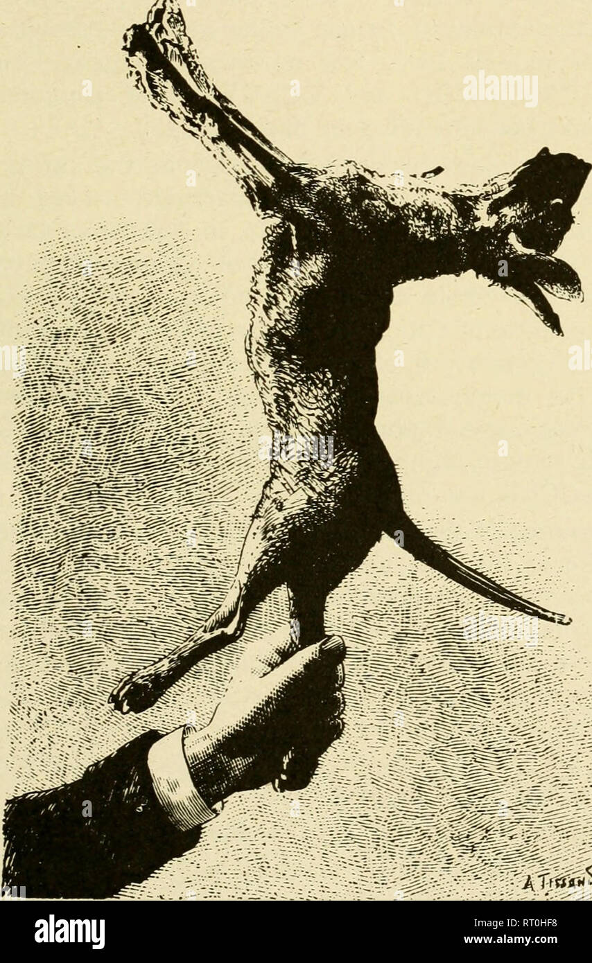 . Barometric pressure researches in experimental physiology