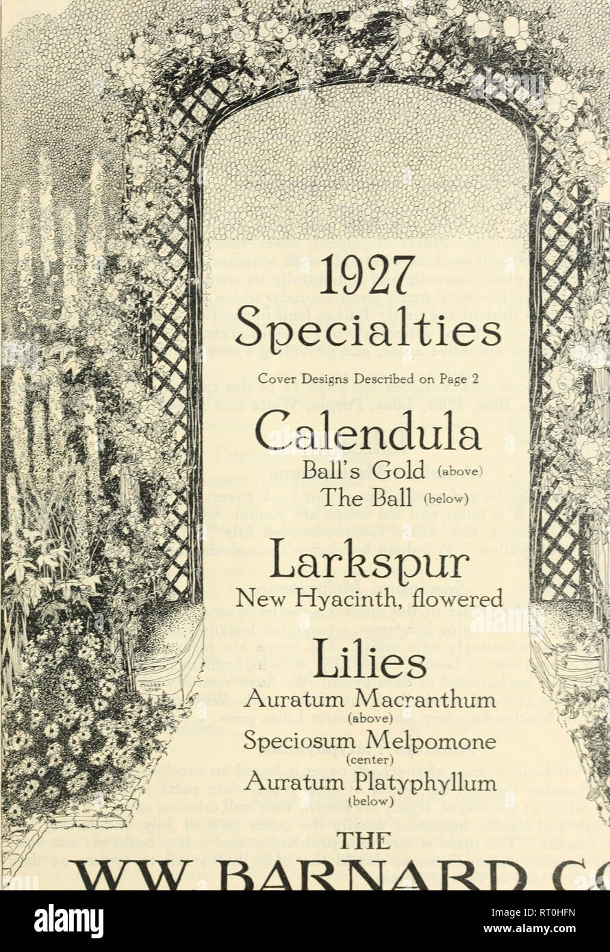 . Barnard's 1927. Seeds Catalogs; Vegetables Seeds Catalogs; Flowers Seeds Catalogs; Nurseries (Horticulture) Catalogs. 1927 Specialties Cover Designs Described on Page 2 Calendula Ball's Gold (above) The Ball «bew) Larkspur New Hyacinth, flowered Lilies Auratum Macranthum (above) Speciosum Melpomone (center) Auratum Platyphyllum (below) THE WW. BARNARD CO., SEEDSMEN 231-235 &quot;West Madison Street. Chicago.. Please note that these images are extracted from scanned page images that may have been digitally enhanced for readability - coloration and appearance of these illustrations may not per Stock Photo