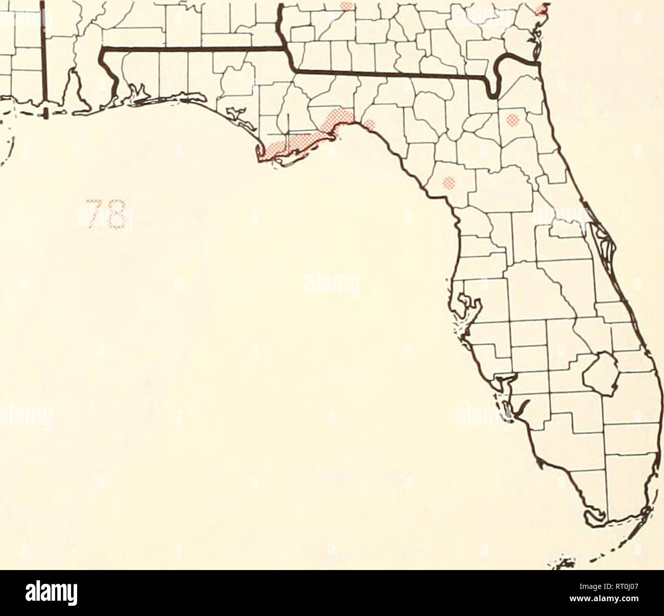 . Atlas of United States trees: volume 5. Florida. Trees. 1 I ' I ' I ' I I I ' I 0 100 200 300 KILOMETERS I. Map 73.—Ilex vomitoria Ait., yaupon. Map 74.—IUicium floridanum Ellis, Florida anise-tree. Map 75.—Illicium parviflorum Michx., yellow anise-tree. Map 76.—Juglans nigra L., black walnut. Map ll.—Kalmia latifolia L., mountain-laurel. Map IS.—Leitneria floridana Chapm., corkwood.. Please note that these images are extracted from scanned page images that may have been digitally enhanced for readability - coloration and appearance of these illustrations may not perfectly resemble the origi Stock Photo
