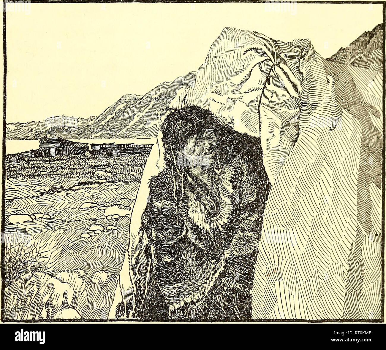 Ivory labrets hi-res stock photography and images - Alamy