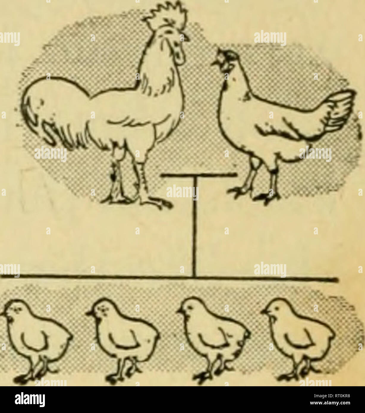 Hybrid Biology Example