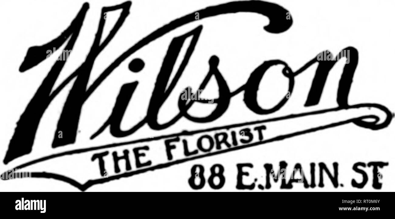 . Florists' review [microform]. Floriculture. WETTLIN FLORAL CO. HORNELL, N. Y. For qniek service to Avoea, Addison, Andover, Arkport, Almond, Angelica, Bath, Comins, Caba, Canisteo, Castile, Cansartra, CoBoeton, Friend* ship, Wellsville, Wayland. Warsaw, Dansvilla. Nunda and other Western New York towns. ROCHESTER. N. Y.. F. T. D. We reach all Western 88 E.MA1N,5T N.YToint. HORNELL, New York C. G. JAMES &amp; SON Prompt Deliveries to Elmira, Cominc and WaOaviDsi Ciimira* IN. 1. ™E &quot;^R'ST' / Deliveries to Ithaca Binsfaamton, Homell, Coming and other pointa. JAMESTOWN. N. Y. = ForsU Heelas Stock Photo