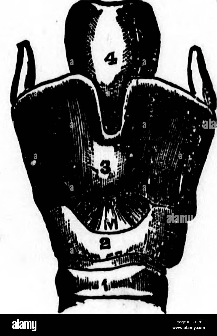 . Public school physiology and temperance [microform]. Physiology ...