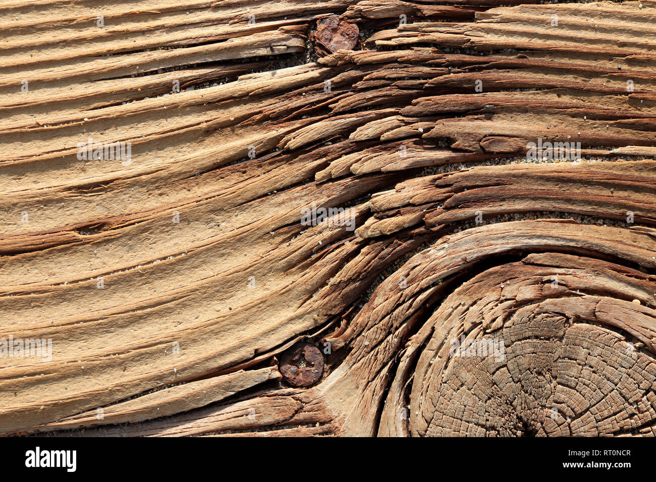 Wood with tree knot texture. Wooden board background. Tree knot macro