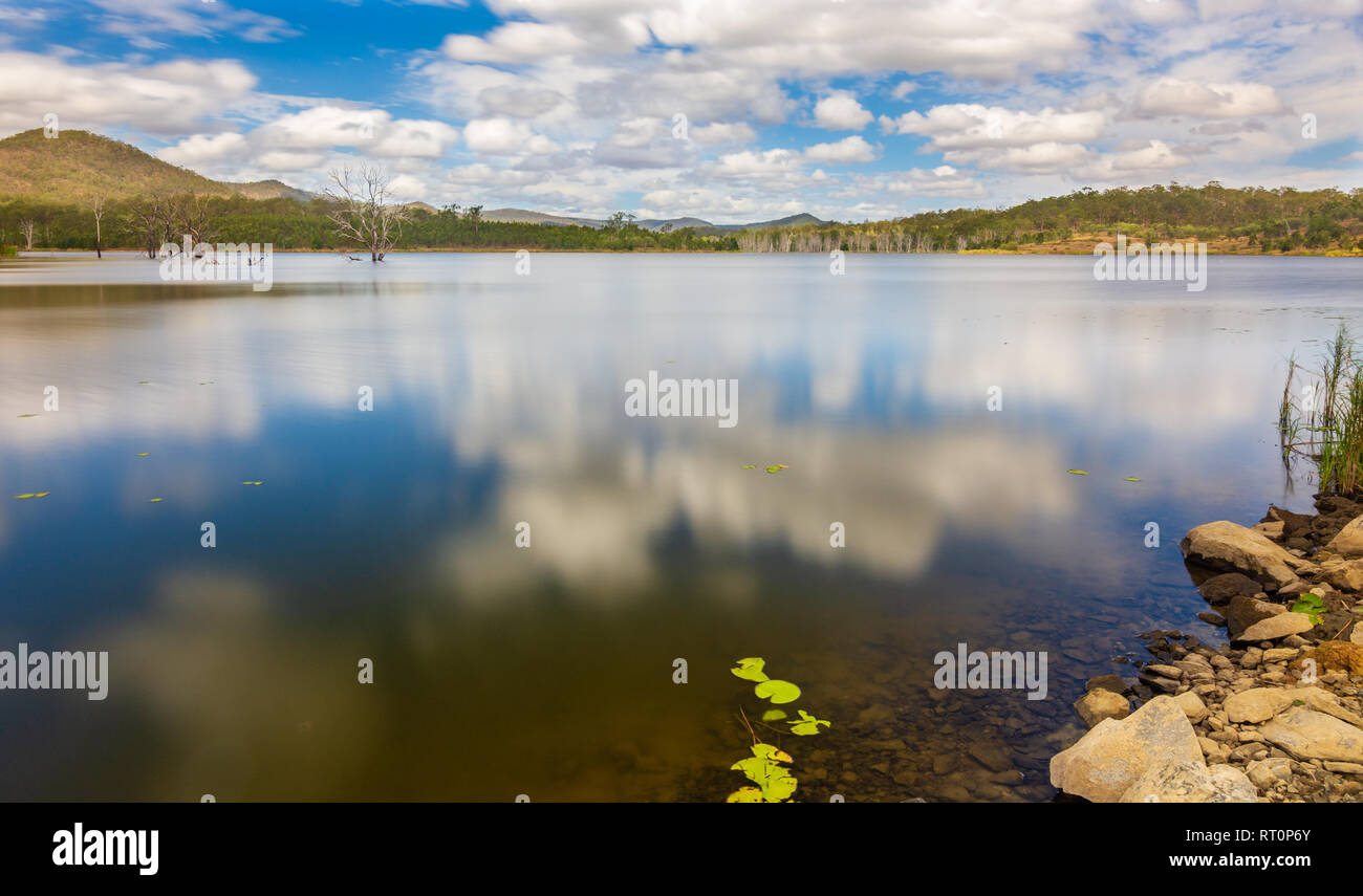 Dead Trees in a Lake Stock Photo - Alamy