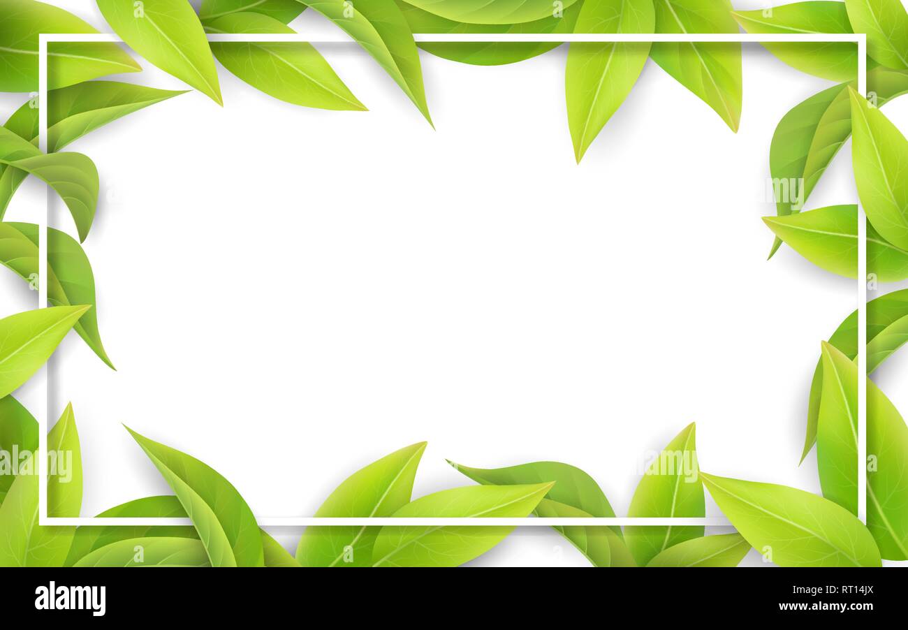 Green leaves on white background. Place for text. Stock Vector