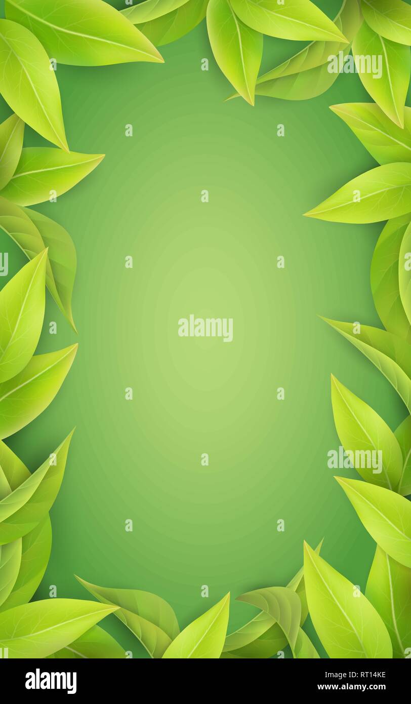 Lush green leaves on a green background. Stock Vector