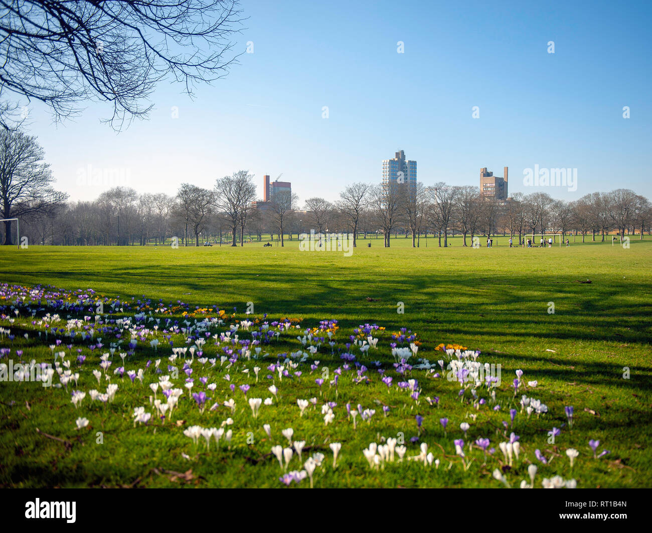 Leicestershire spring season hires stock photography and images Alamy