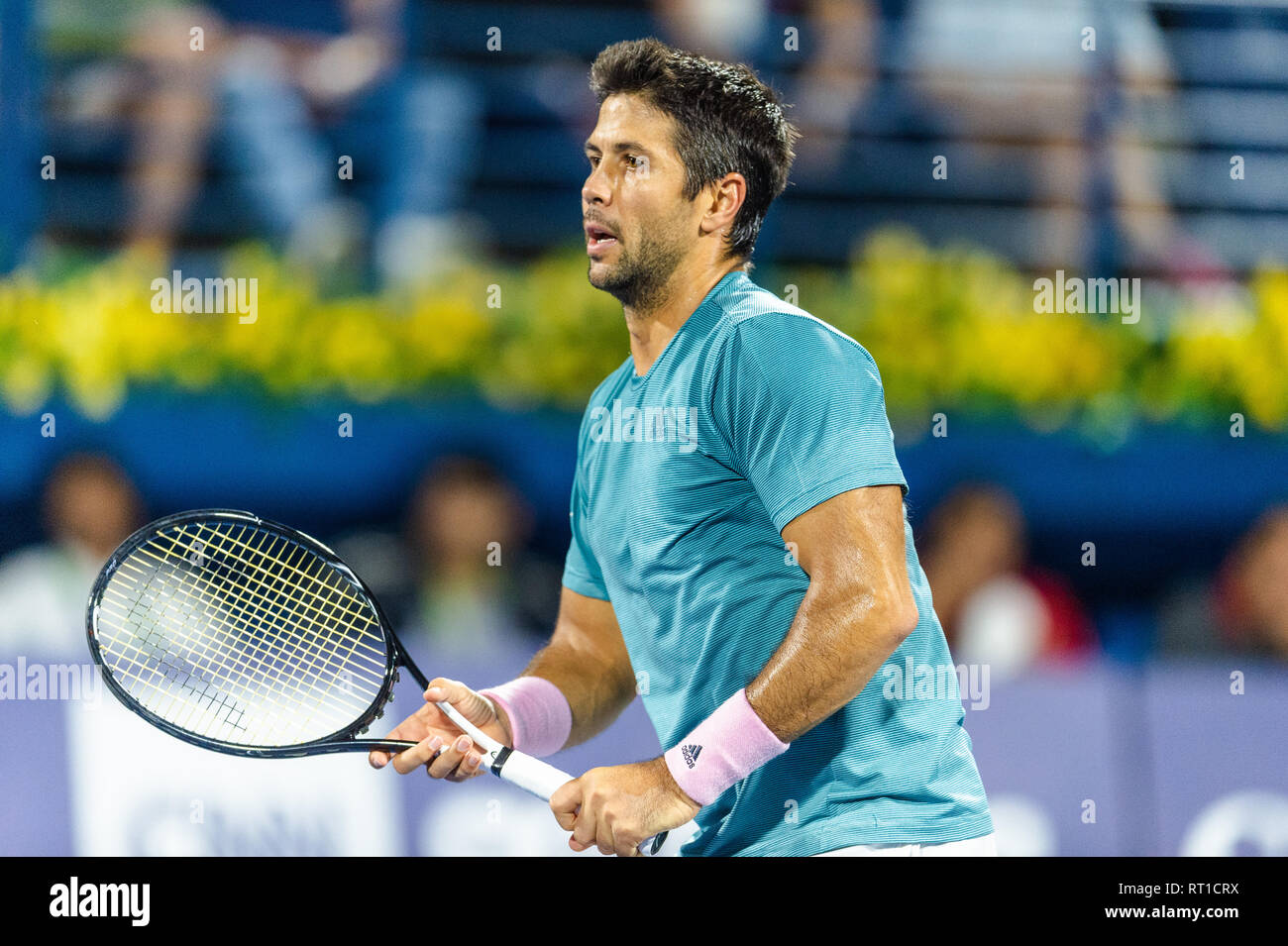 Stadium - Dubai Duty Free Tennis Championships