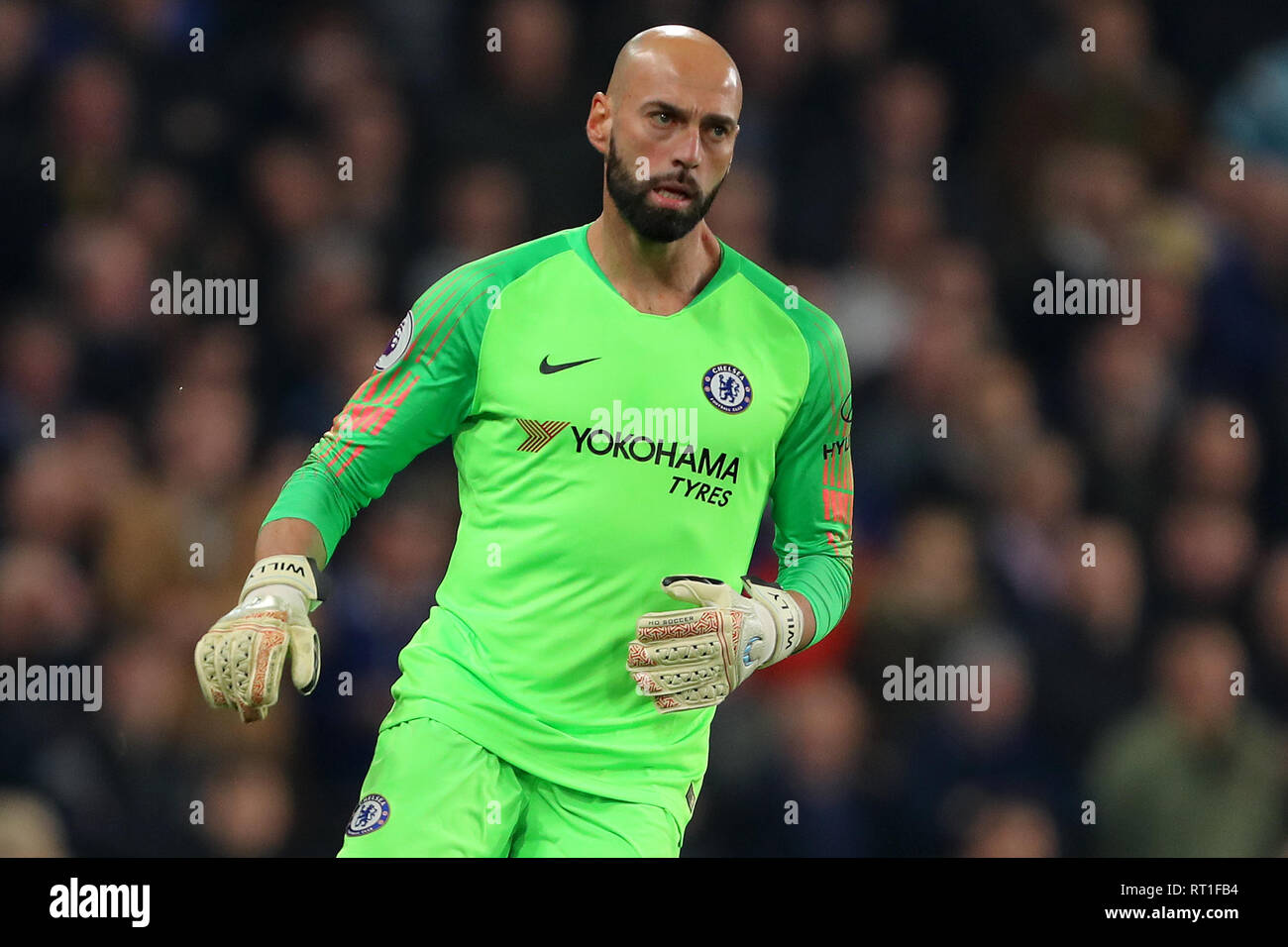 London, UK. 27th Feb, 2019. Wilfredo Caballero of Chelsea - Chelsea v Tottenham Hotspur, Premier League, Stamford Bridge, London - 27th February 2019 Editorial Use Only - DataCo restrictions apply Credit: MatchDay Images Limited/Alamy Live News Stock Photo