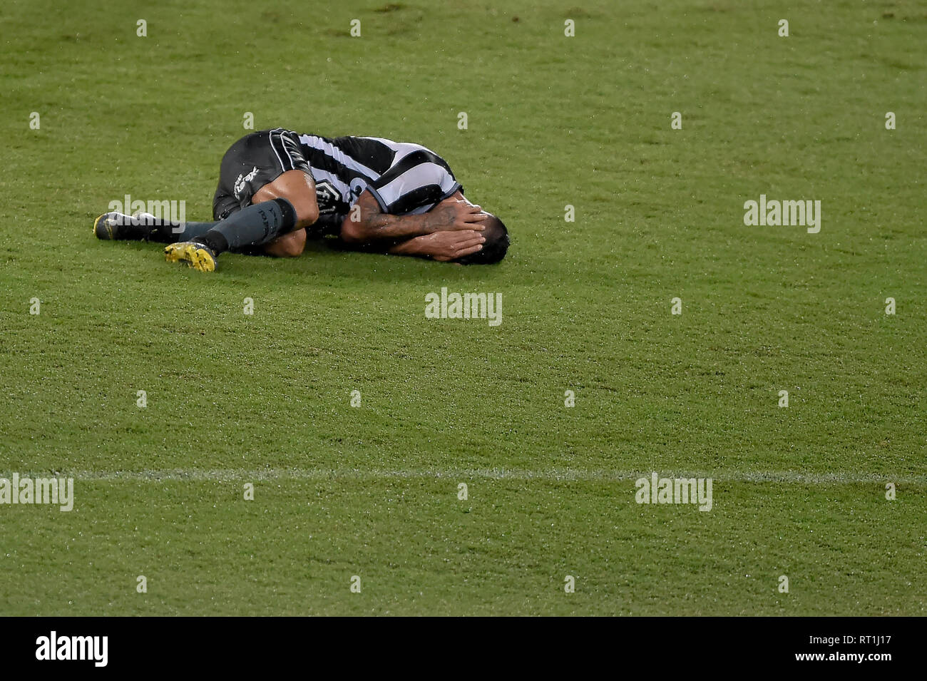 Leo Valencia High Resolution Stock Photography And Images Alamy