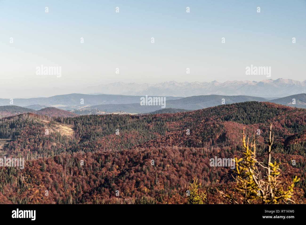 view from Wielka Racza hill in autumn Beskid Zywiecki mountains on polish-slovakian borders with hills of Beskids mountains and Tatra mountains on the Stock Photo