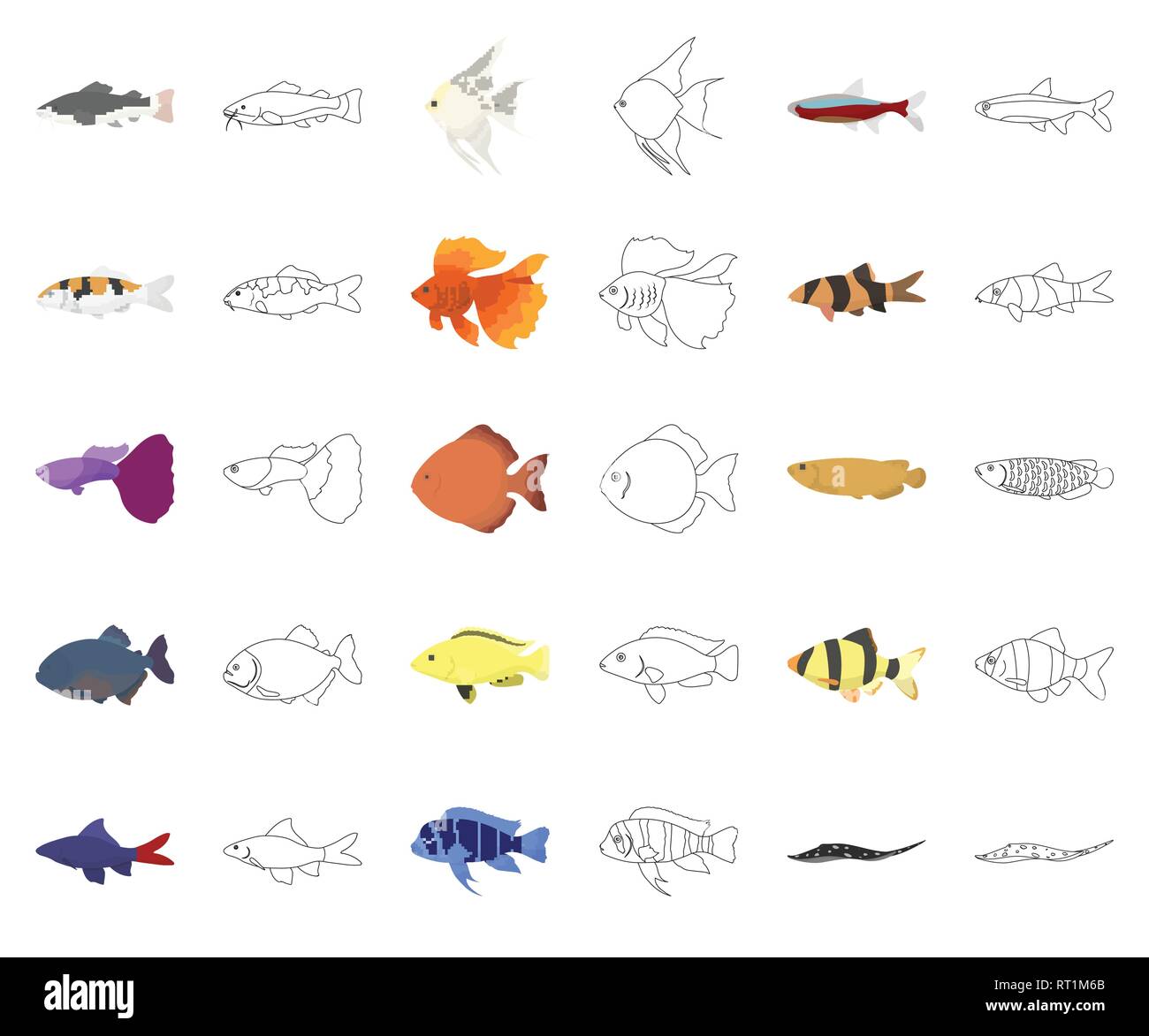 aquarium,axelrodi,barbus,bicolor,botia,cartoon,outline,collection,cyphotilapia,design,different,discus,fish,fotmosus,frontosa,gold,hemioliopterus,icon,illustration,isolated,koi,labeo,labidochromis,leopoldi,logo,macracantha,marine,nattereri,paracheirodon,phractocephalus,poecilia,potamotrygon,pterophyllum,pygocentrus,reticulata,river,scalare,scleropages,set,sign,stearocranus,symbol,tetrazona,tropical,type,vector,web Vector Vectors , Stock Vector