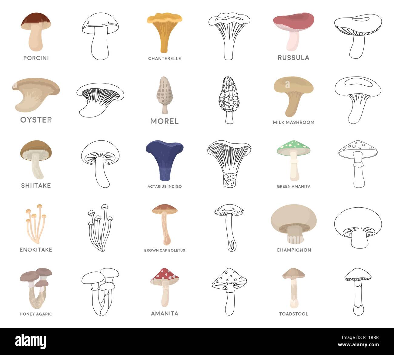 actarius,agaric,amanita,art,boletus,brown,cap,cartoon,outline ...