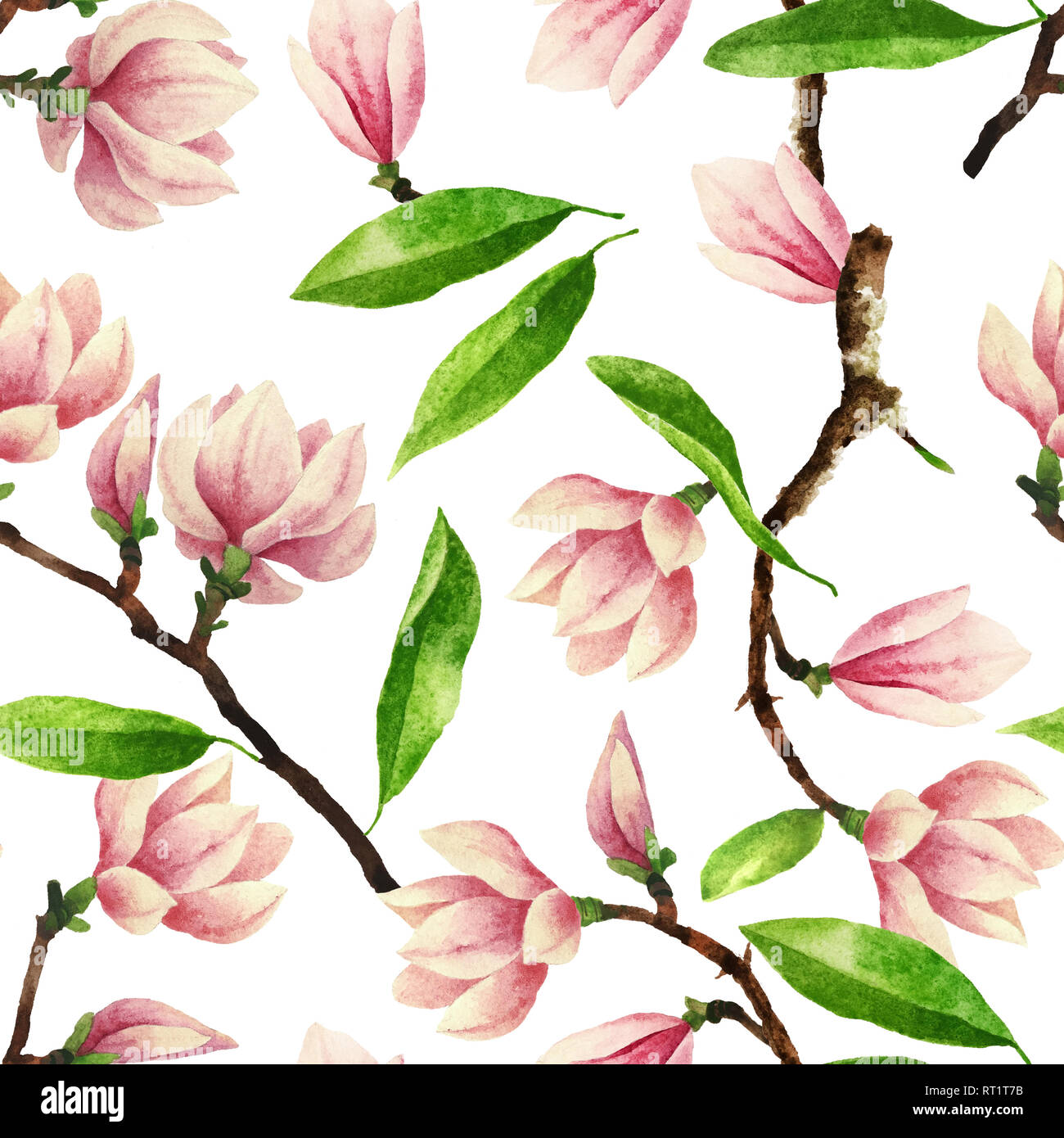 Hand painted watercolor seamless pattern with magnolia flowers and leaves. Beautiful and gentle botanical seamless pattern isolated on white Stock Photo