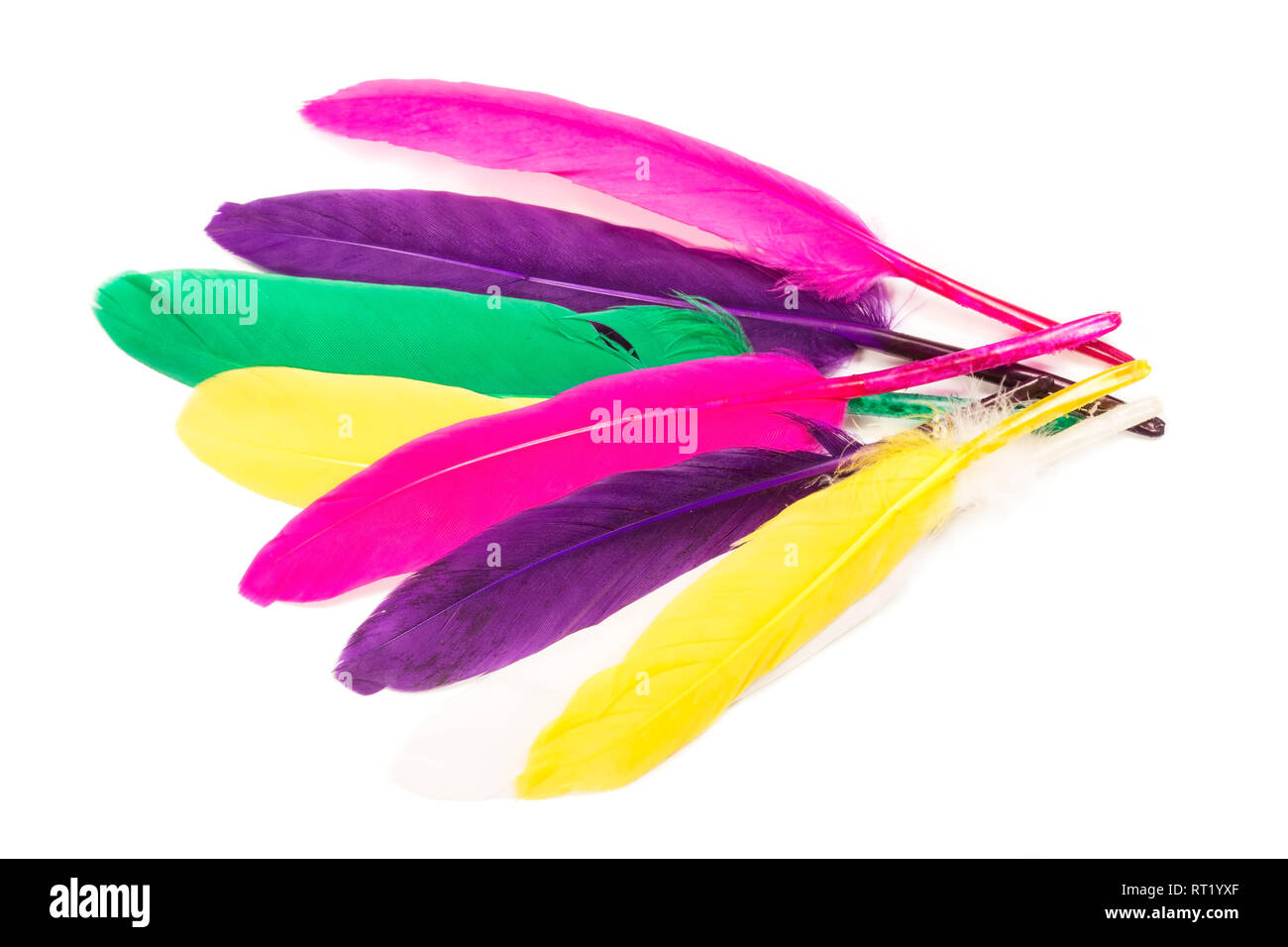 Colorful feathers isolated on white background Stock Photo
