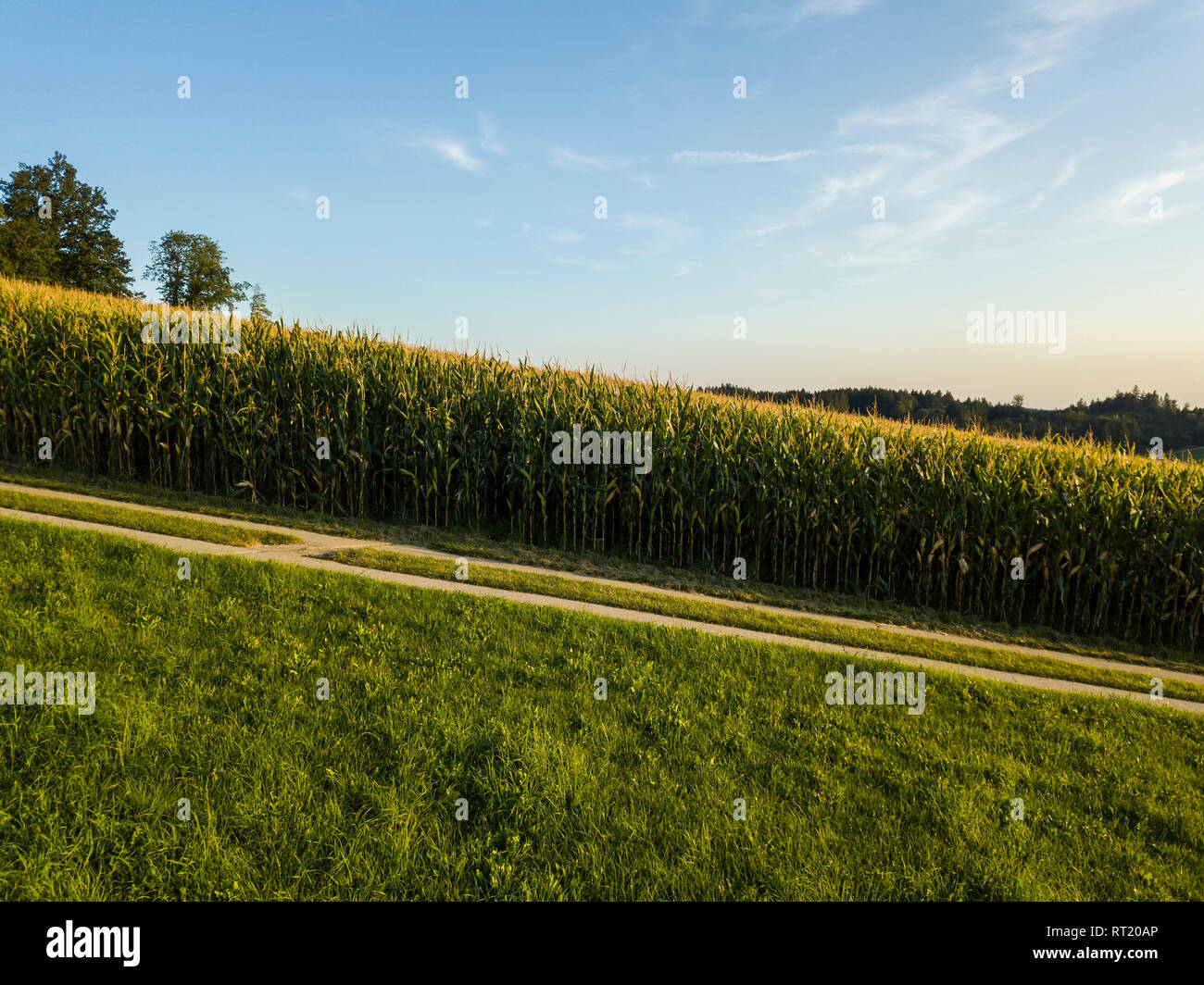 Grain growing region hi-res stock photography and images - Alamy