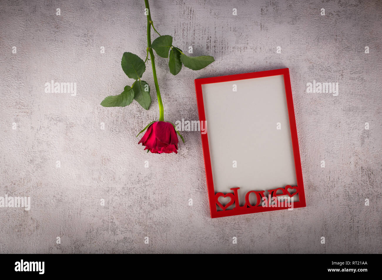 Red photo frame with rose flower. Love concept Stock Photo