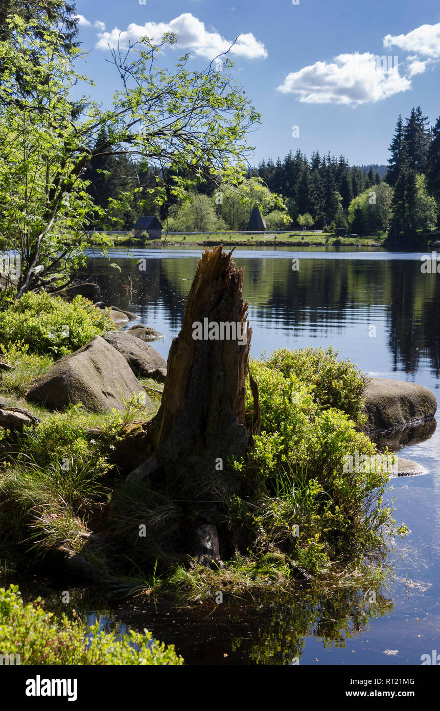 Teiche hires stock photography and images Alamy