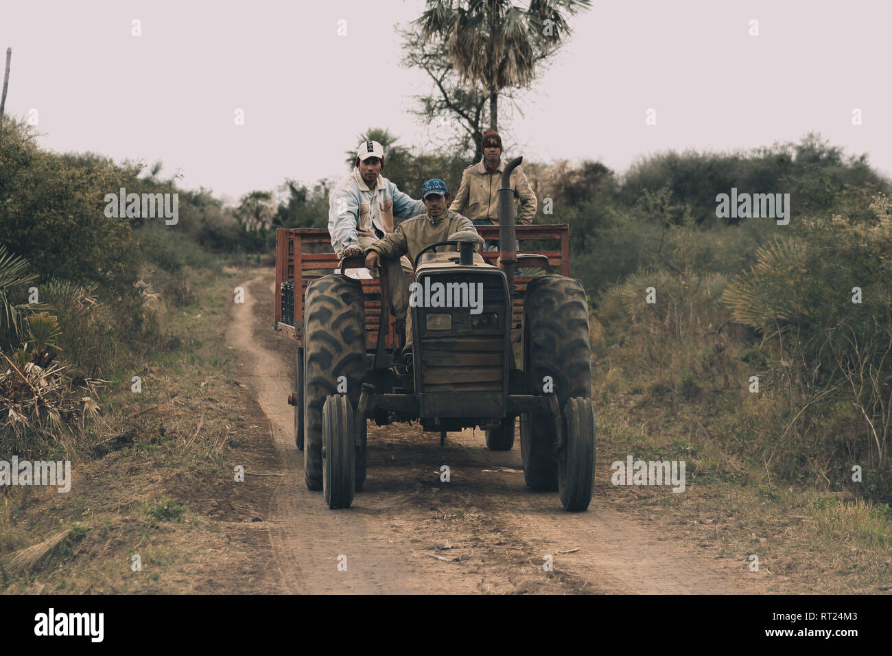 Three farm workers driving big old tractor on dusty road in the countryside, Formosa Province, northern Argentina Stock Photo