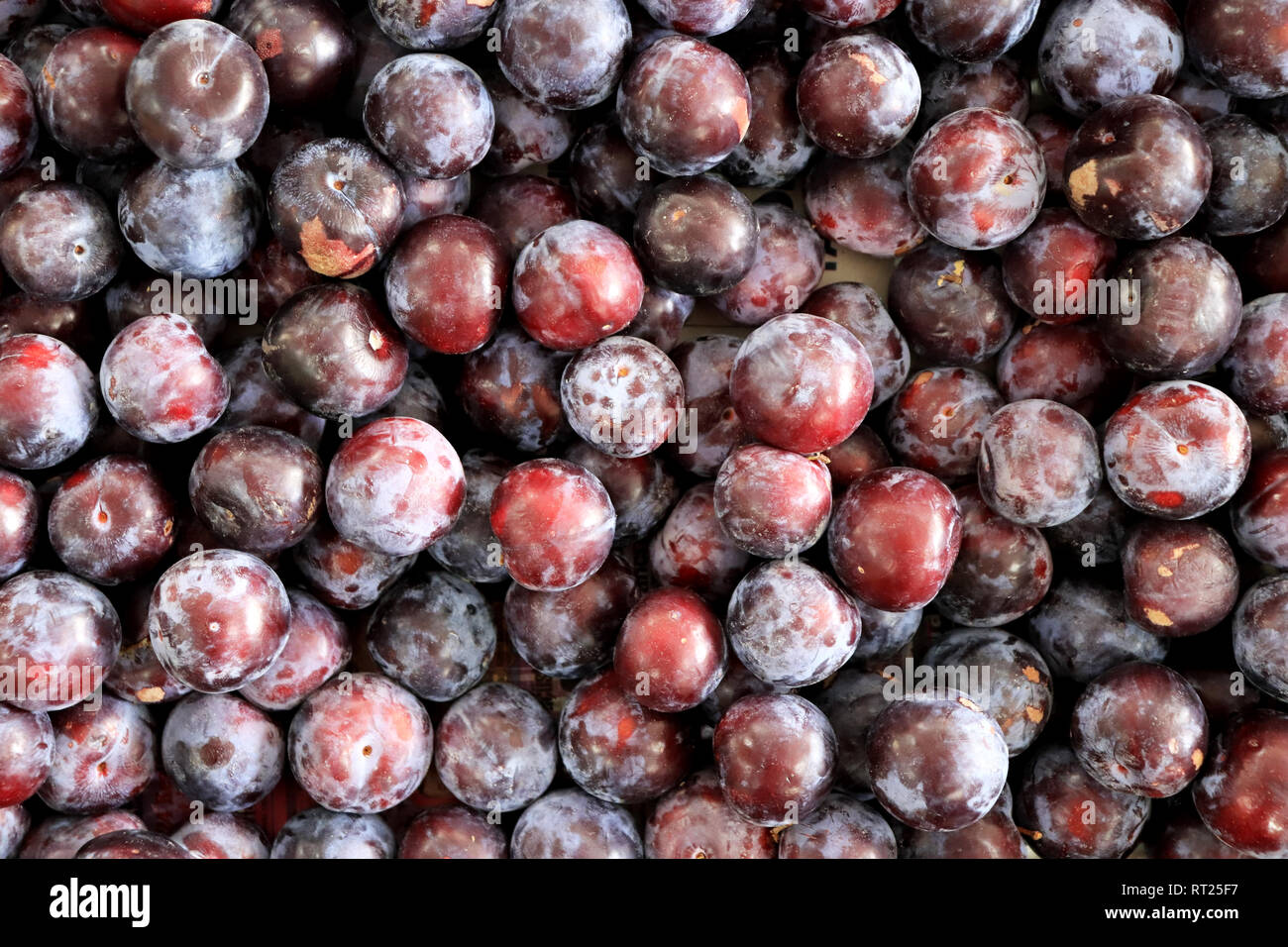 Lots of plum showcase texture. Plums background Stock Photo Alamy