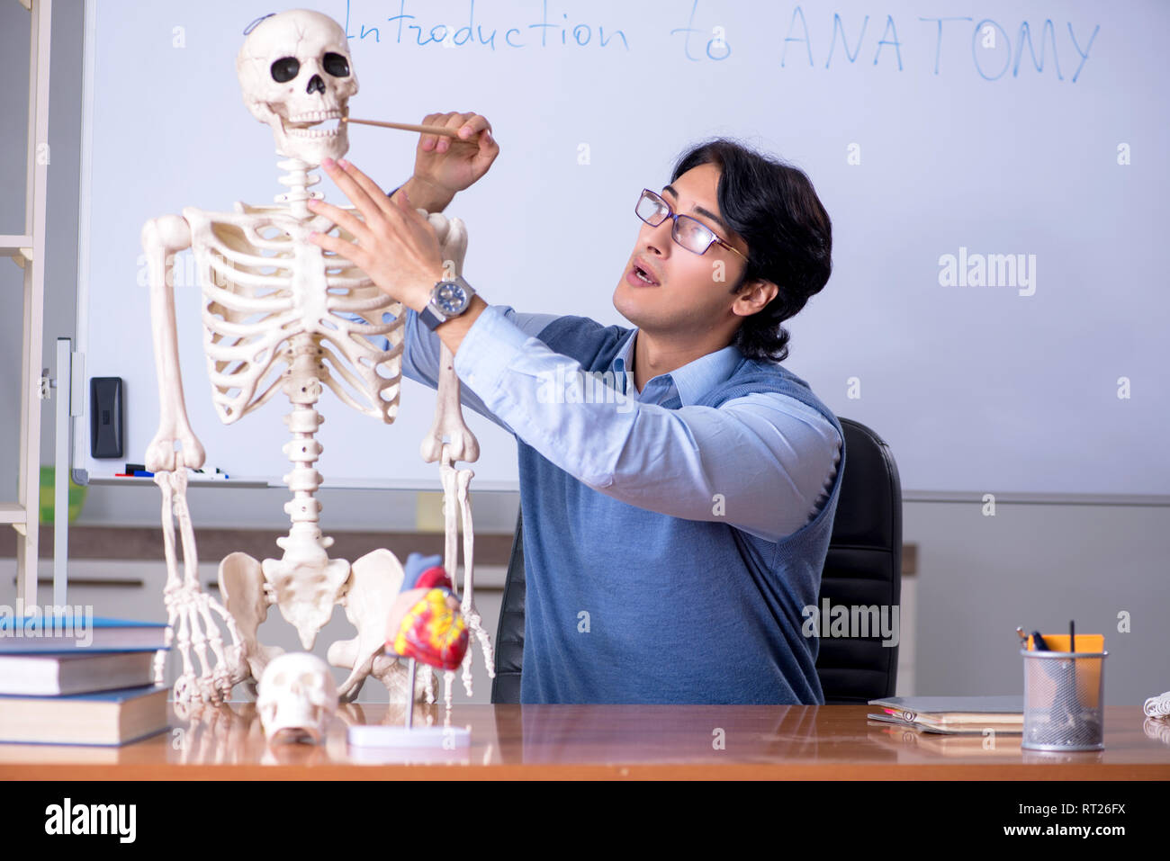 Young lecturer teacher teaching anatomy Stock Photo Alamy