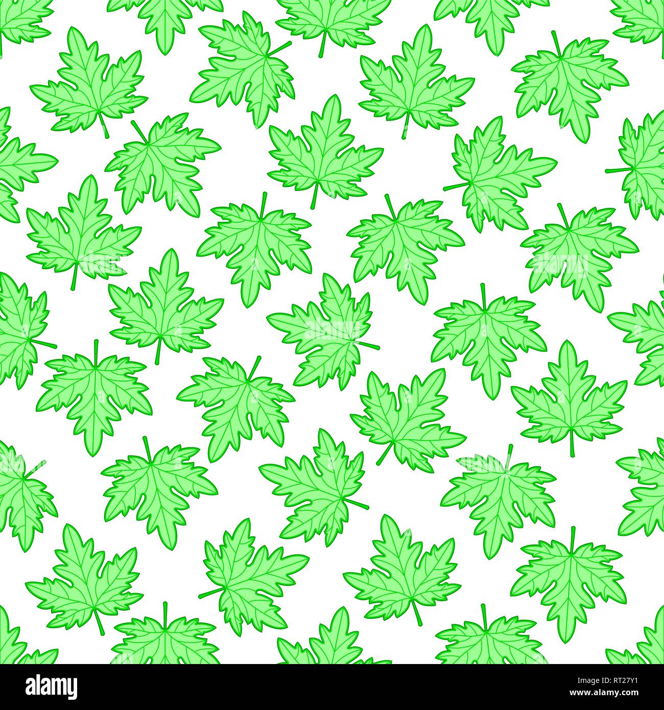 Seamless pattern of the green maple leaves Stock Vector