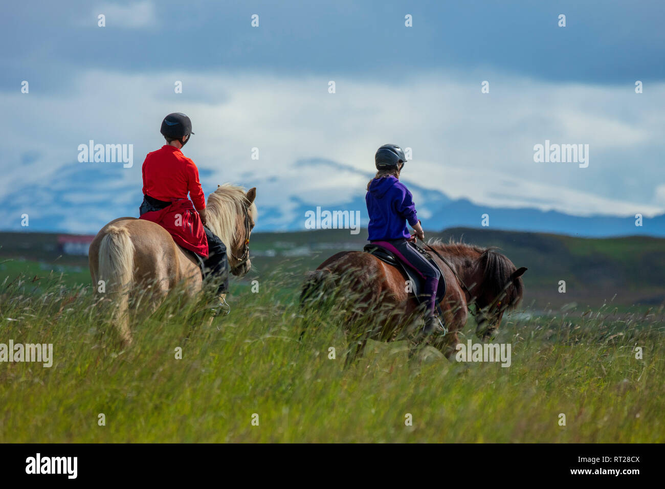 Icelandic horse riders on a trek near Breidanes, Sudhurland, Iceland. Stock Photo