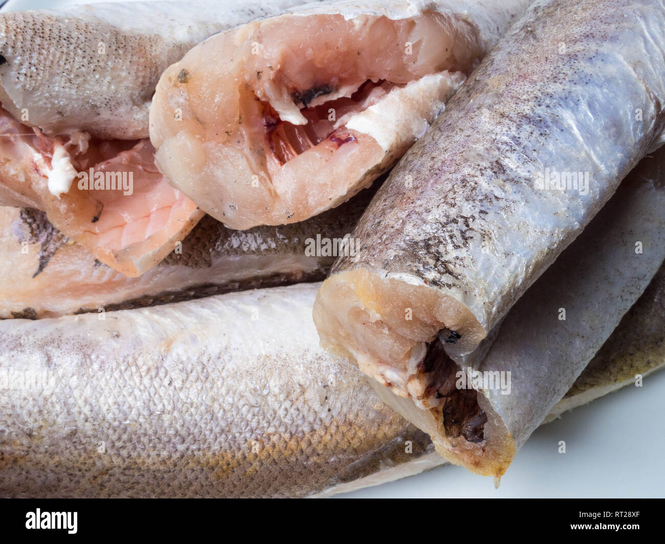 Frozen hake fish as food background Stock Photo Alamy