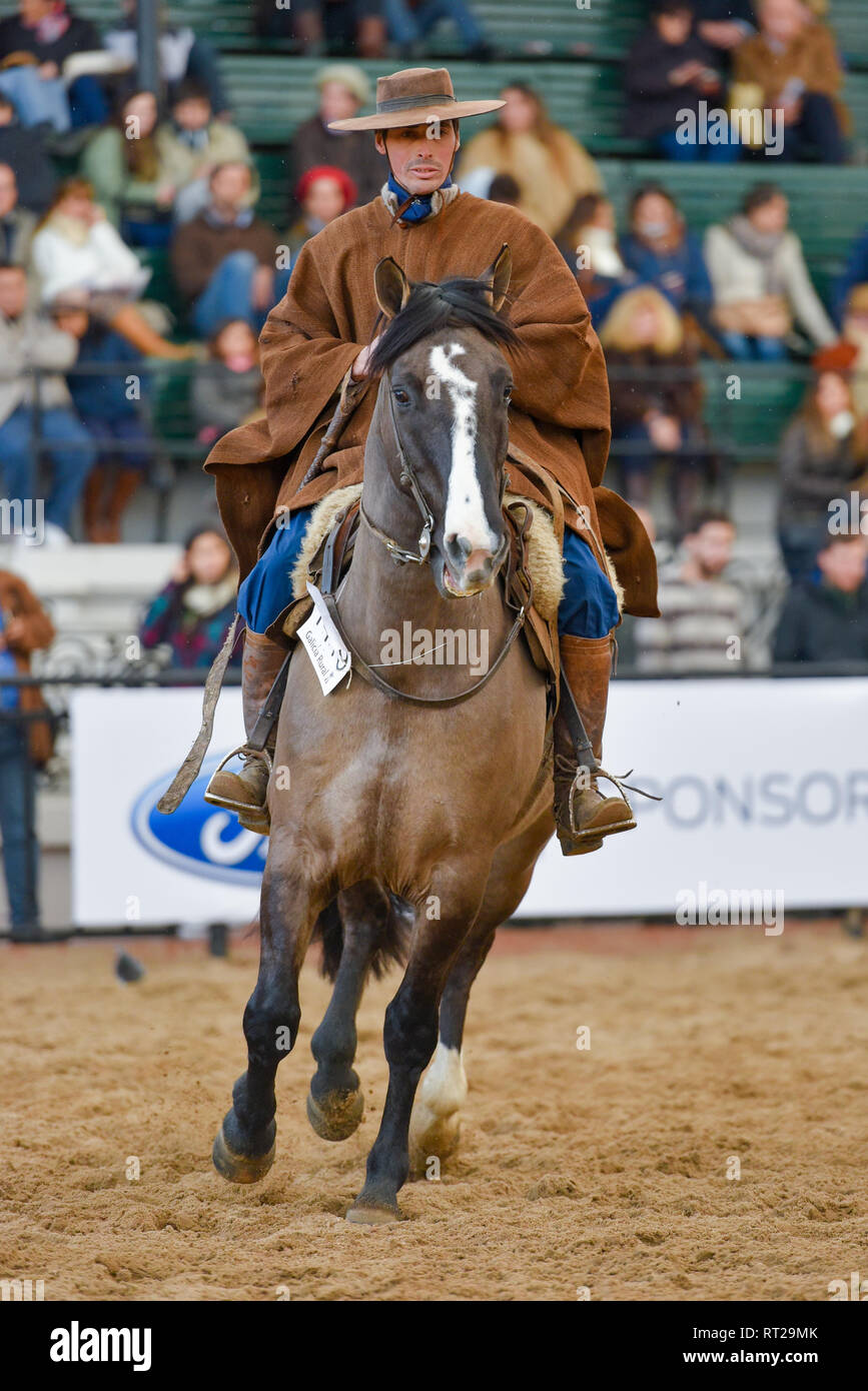 Buenos Aires, Argentina - Jul 16, 2016: A gaucho cowboy riding a horse during a show at the Rural Exhibition. Stock Photo