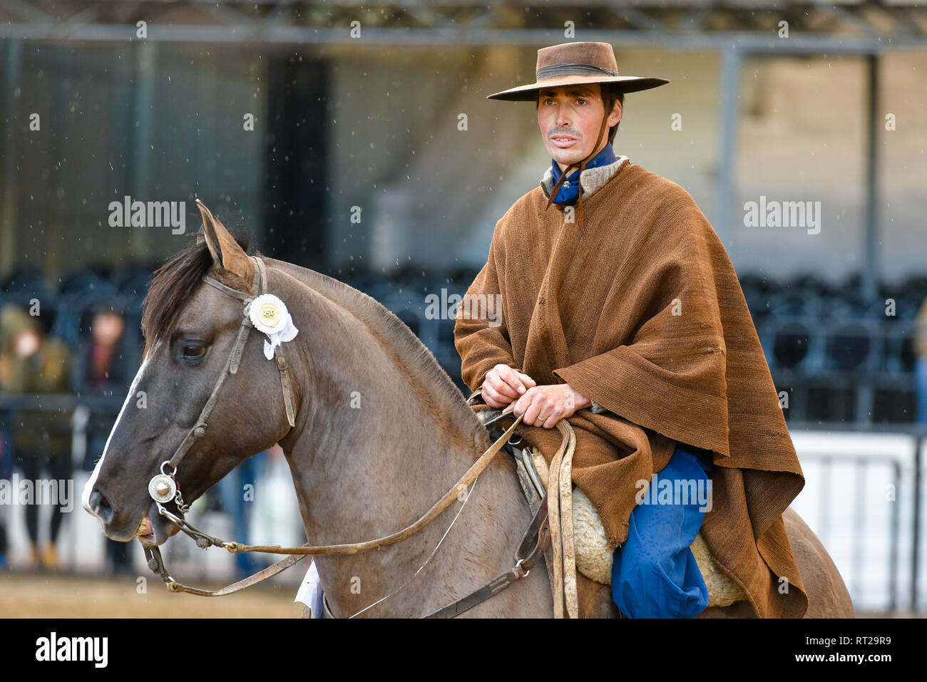 Buenos Aires, Argentina - Jul 16, 2016: A gaucho cowboy riding a horse during a show at the Rural Exhibition. Stock Photo