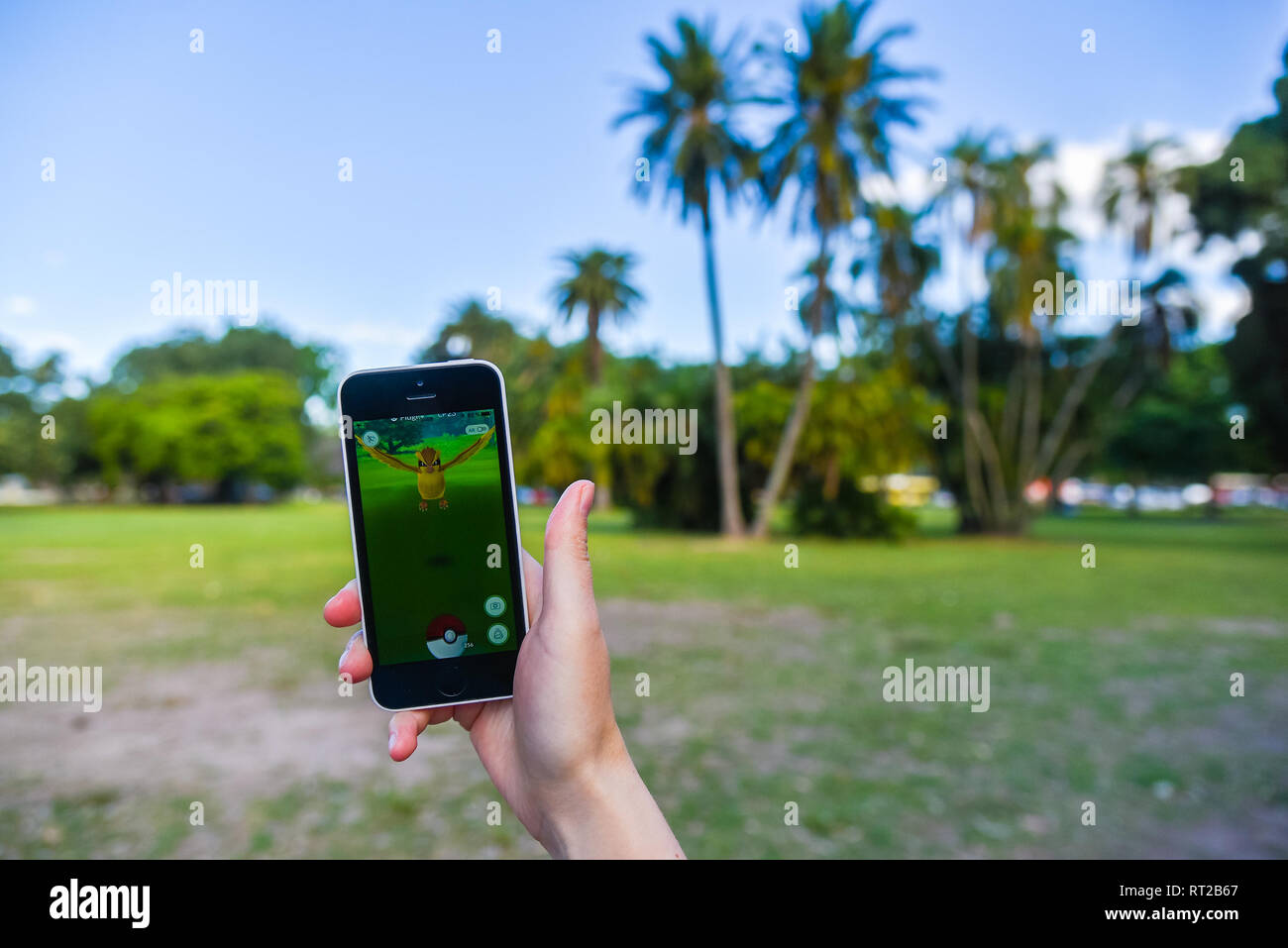 Buenos Aires, Argentina - Nov 11, 2016: Apple iPhone 5c held in one hand showing its screen with Pokemon Go application. Palms on the background. Stock Photo