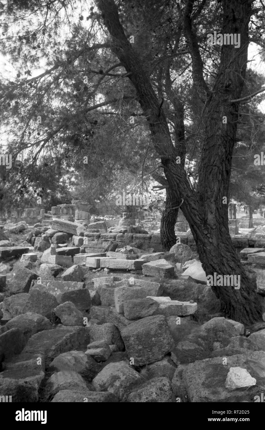 Griechenland, Greece - Ein Baum steht inmitten eines antiken Ruinenfelds in Griechenland, 1950er Jahre. A tree inmid of a field of ancient ruins in Greece, 1950s. Stock Photo