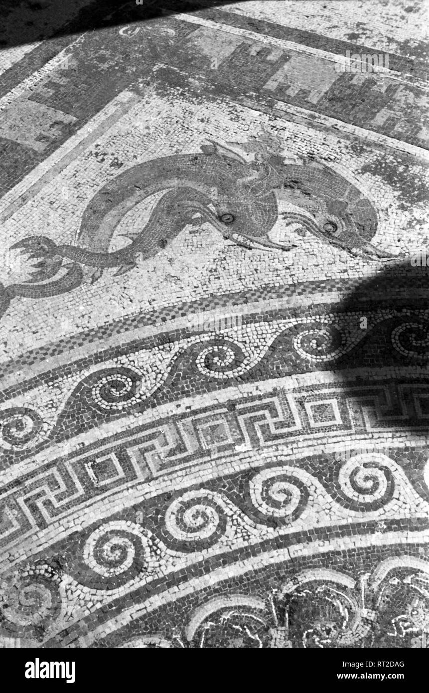 Griechenland, Greece - Ein Mosaik auf der Insel Delo, Griechenland, stellt zwei eckenverzierende Delphine dar, Griechenland, 1950er Jahre. An, ancient mosaic at the island of Delos, Greece, showing, to dolphins, 1950s. Stock Photo