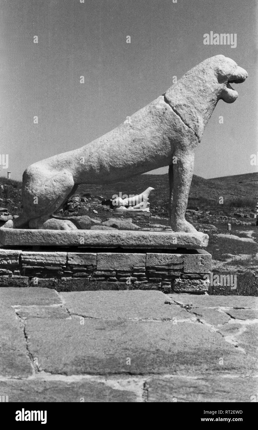 Griechenland, Greece - Eine Löwwenstatue bei der Löwenterrasse auf der Insel Delo, Griechenland, 1950er Jahre. A lion statue of the lion terrace at the island of Delos, Greece, 1950s. Stock Photo